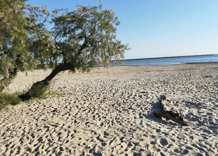 Casa Juanito 度假居 兰顿